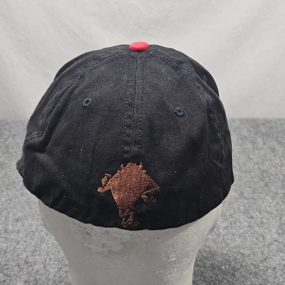 Vintage Tasmanian Devil Looney Tunes Hat XL Black Taz 90s Made in USA Nostalgia